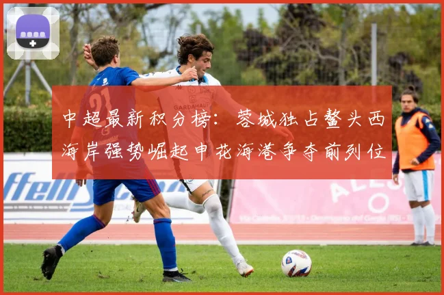 中超最新积分榜：蓉城独占鳌头西海岸强势崛起申花海港争夺前列位置