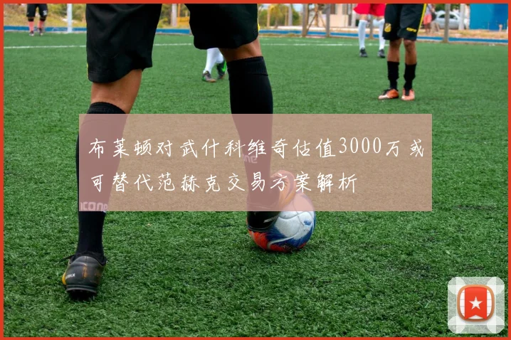 布莱顿对武什科维奇估值3000万或可替代范赫克交易方案解析